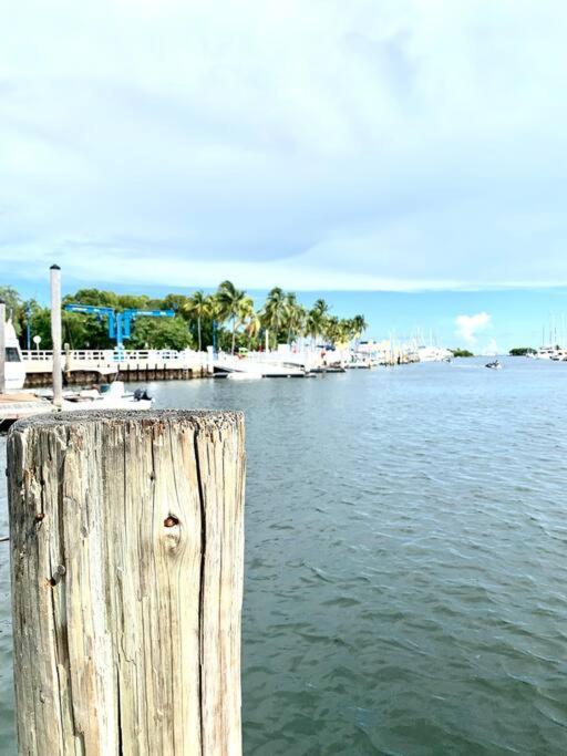 Groveo5 10 Minutes From Miami Beach Esterno foto